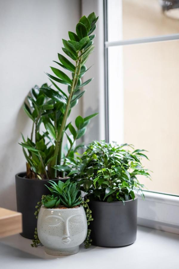 #Stayhere - Cozy 1Bdr Apartment Vilnius Old Town Ngoại thất bức ảnh